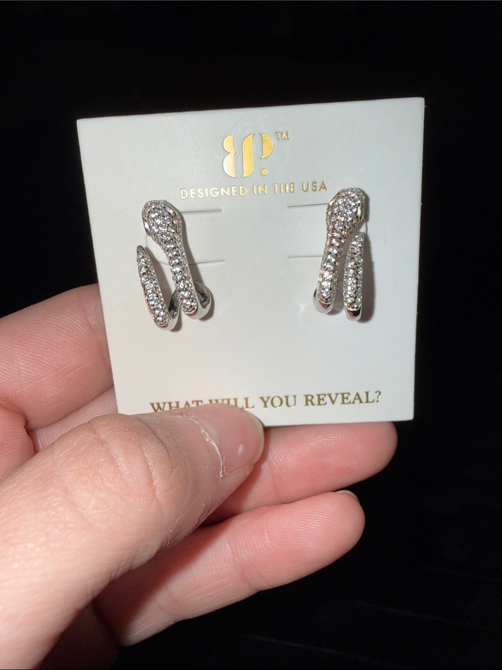 bp Silver snake Stud Earrings